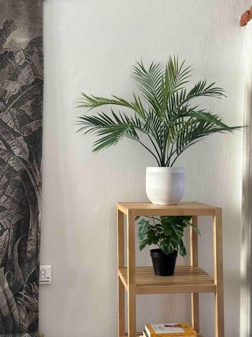 Xenia Apartments - Charming Garden Suite In Porta Venezia Milánó Kültér fotó